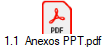 1.1  Anexos PPT.pdf