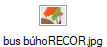 bus búhoRECOR.jpg