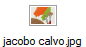 jacobo calvo.jpg