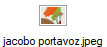 jacobo portavoz.jpeg