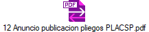 12 Anuncio publicacion pliegos PLACSP.pdf