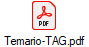 Temario-TAG.pdf