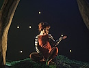 El bosque de coco