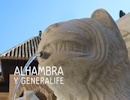 Visitas a la Alhambra y el Generalife