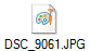 DSC_9061.JPG