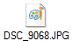 DSC_9068.JPG
