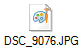 DSC_9076.JPG